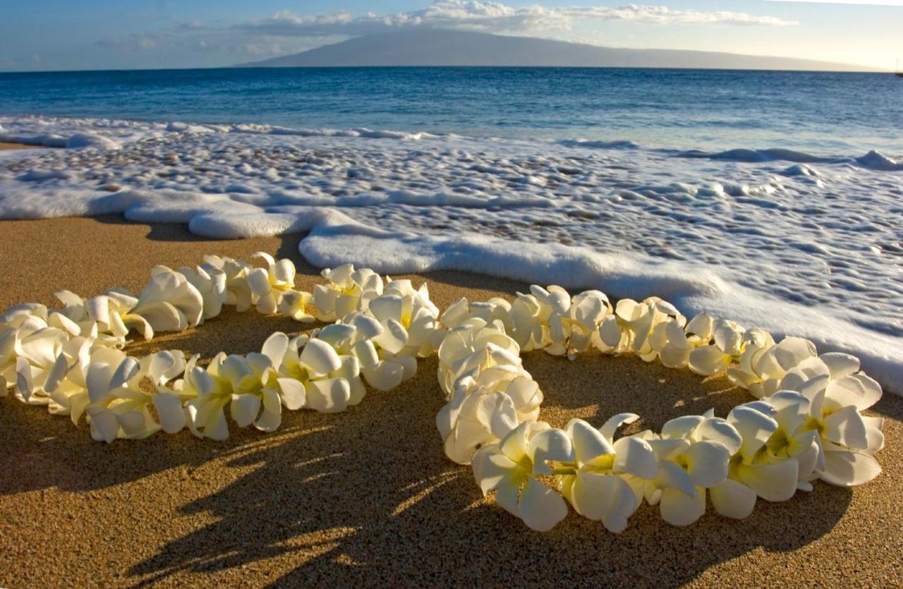 Beautiful Mountain View In Waikiki Sunset With Parking Apartment โฮโนลูลู ภายนอก รูปภาพ